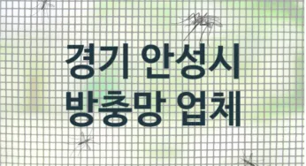 경기 안성시 방충망 업체 추천 TOP 3, 방충망 업체 안내